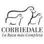 Corriedale::Sociedad de Criadores de Corriedale del Uruguay